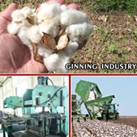 Belting for Ginning Industry