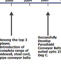 Company Timeline